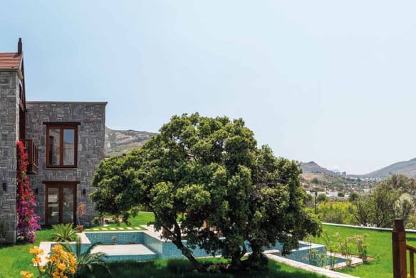 Mindoza Villa 