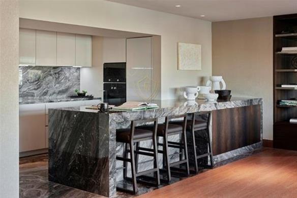 Penthouse Ritz Carlton