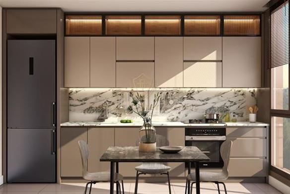 ICS VIVERE Project 