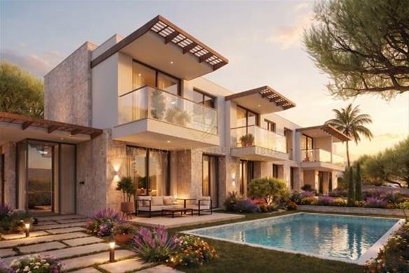 Shelton Valeria Project