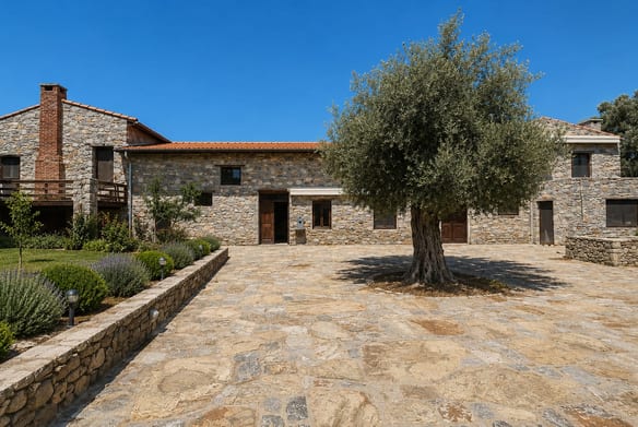 Historic Olive Press Estate for Sale, Milas