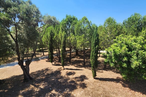 Historic Olive Press Estate for Sale, Milas