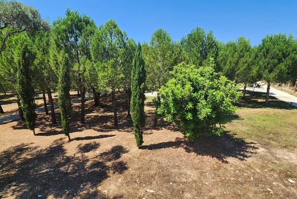 Historic Olive Press Estate for Sale, Milas