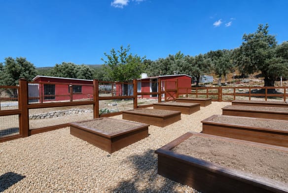 Historic Olive Press Estate for Sale, Milas
