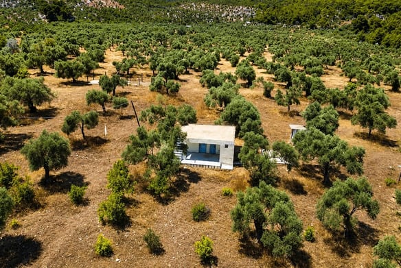 Historic Olive Press Estate for Sale, Milas