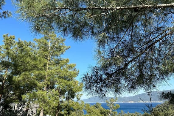 Nef Reserve Gölköy Villa 34