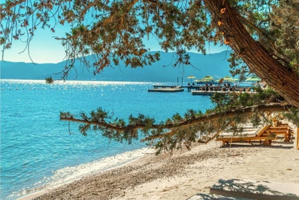 Nef Reserve Gölköy Villa 34